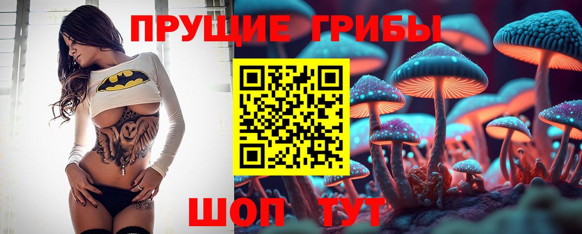 Галлюциногенные грибы GOLDEN TEACHER  Вход с VPN  Майкоп 