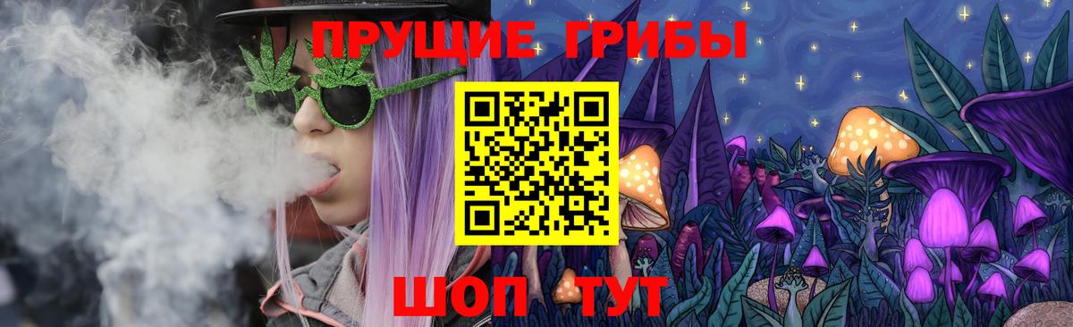Галлюциногенные грибы Cubensis Майкоп