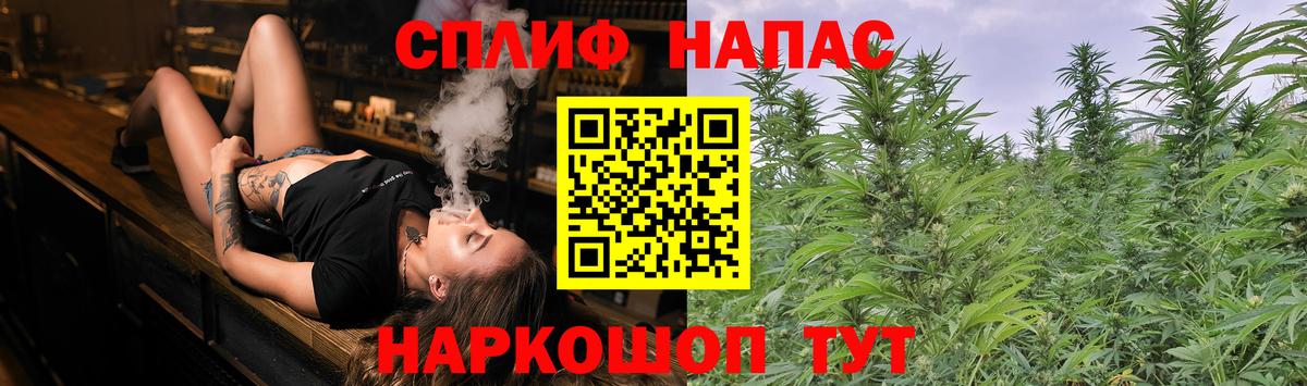 Майкоп  Марихуана планчик  Конопля ГИДРОПОН  Вход с VPN  Бошки Шишки план  Бошки марихуана VHQ 